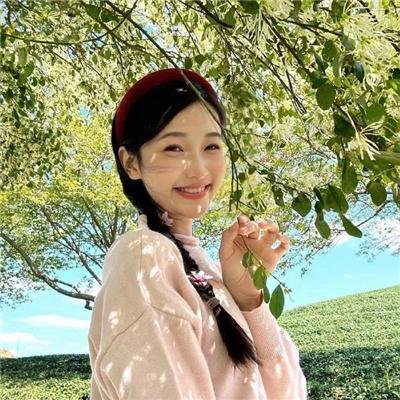 月陨回声